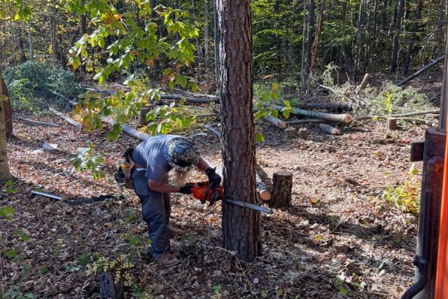 Clearing / Grading 22 using a chainsaw to remove tree