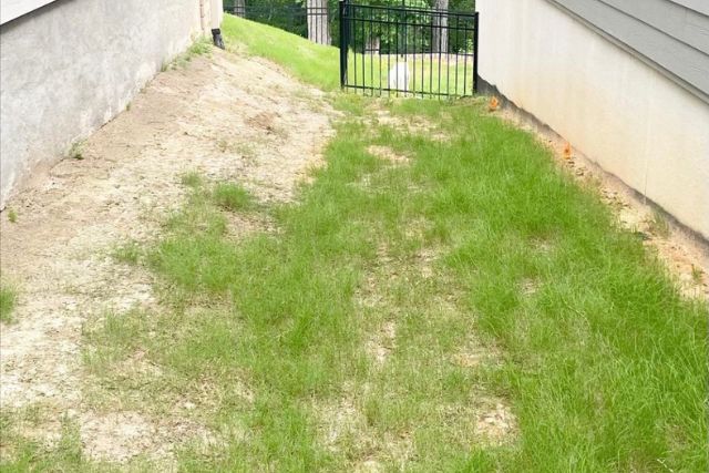 Drainage / Erosion Control 4 planting grass over river rock for final project