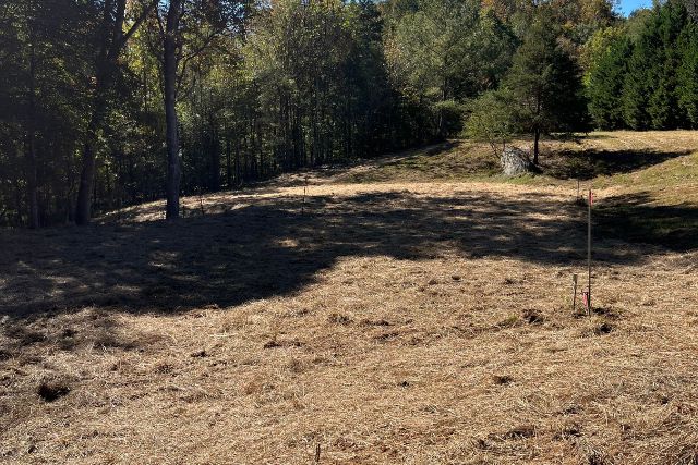 Clearing / Grading 11 final project of clearing land, grass seed, and straw