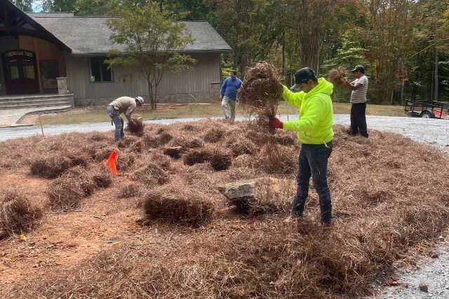 Clearing / Grading 10 more straw being placed