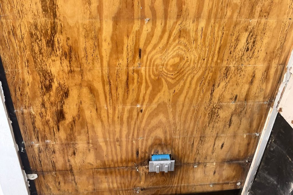 wood rot and moldy wood