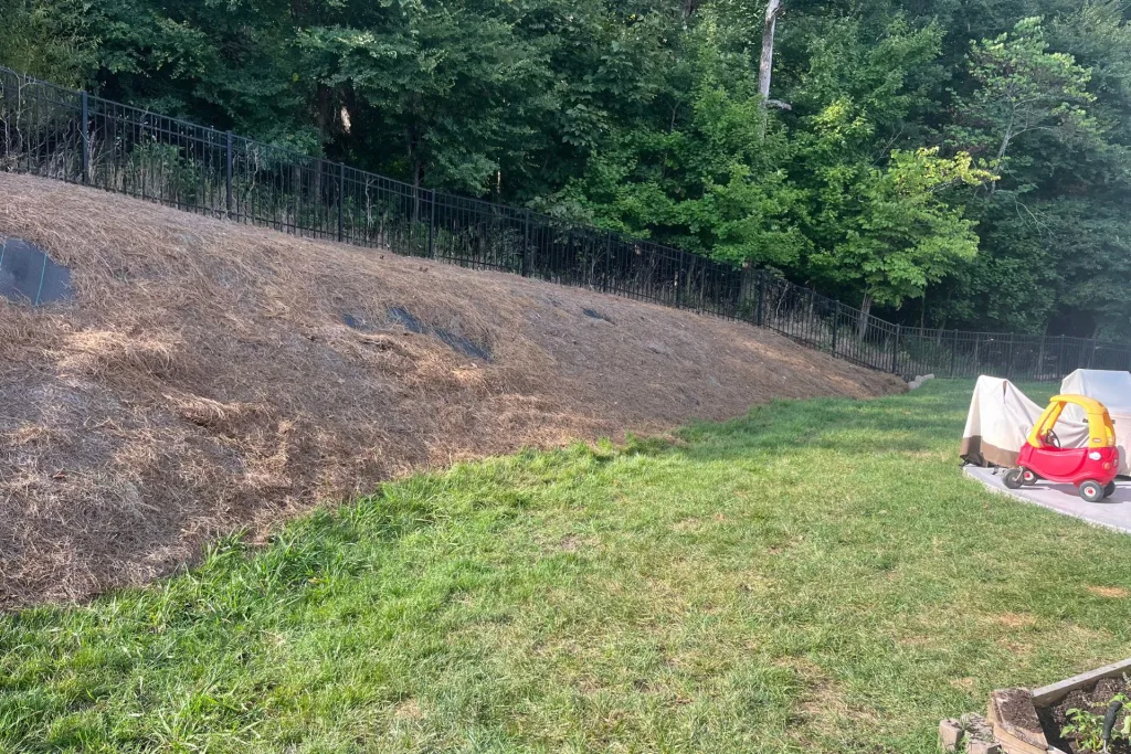 View of the challenging slope in the backyard, highlighting the need for a retaining wall solution.
